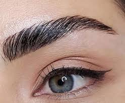 Elegant eyebrows discount