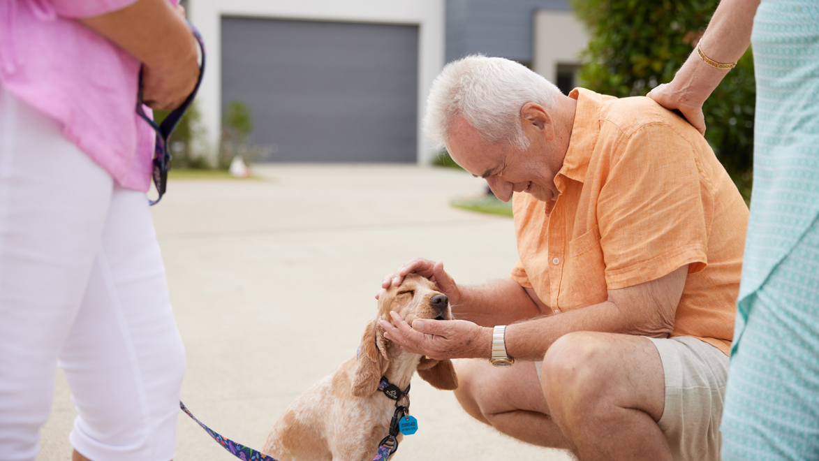 Man pats dog in the streets of a Stockland Halcyon community