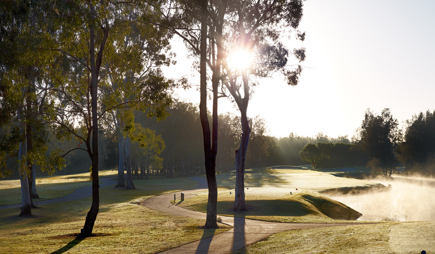 Landscape photo of the Gainsborough Greens golf course with sun peering through the trees
