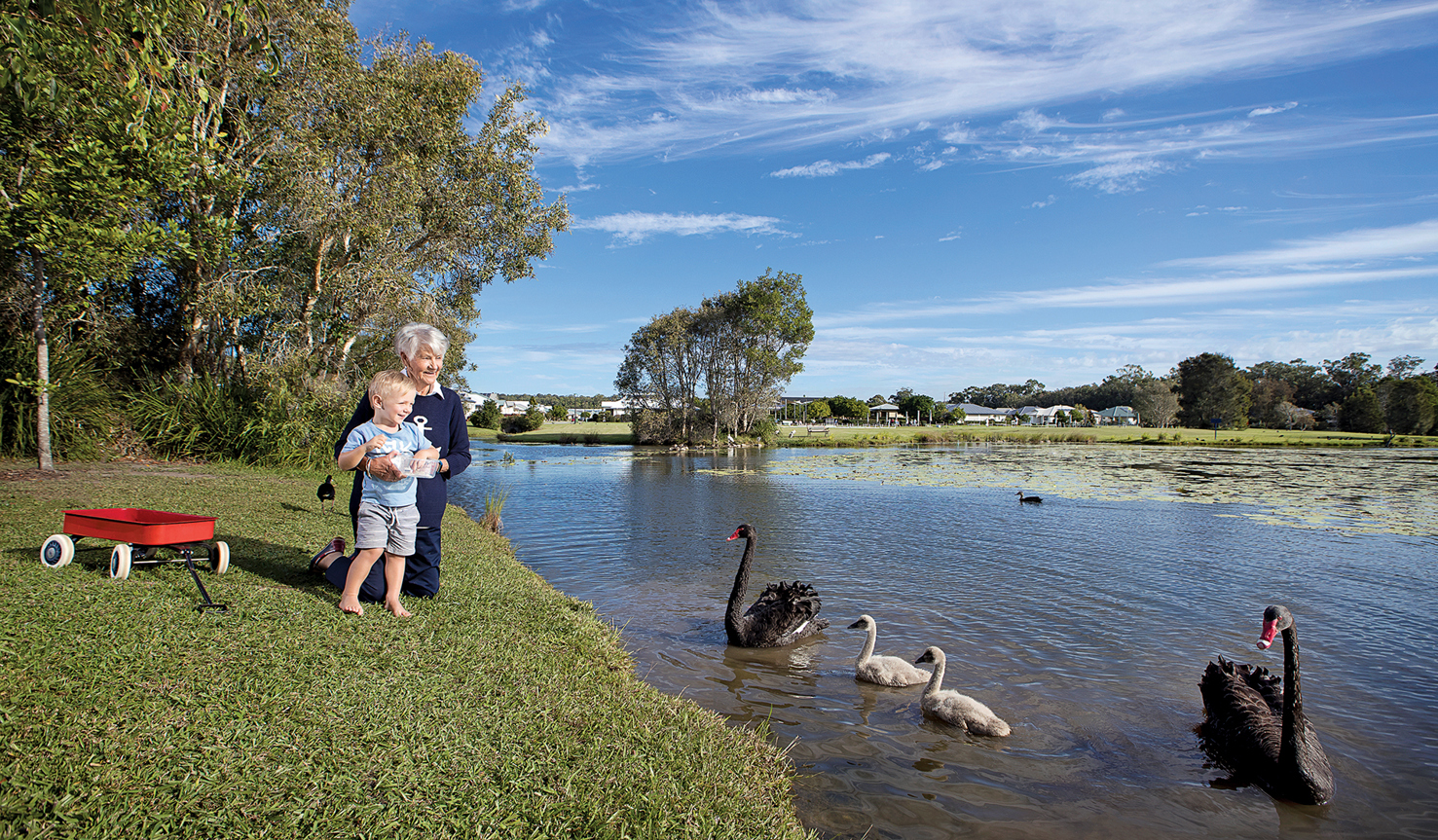 Halcyon Parks grandmother and young grandchild feeding swans at the lakes edge. there is a red wagon behind them. 