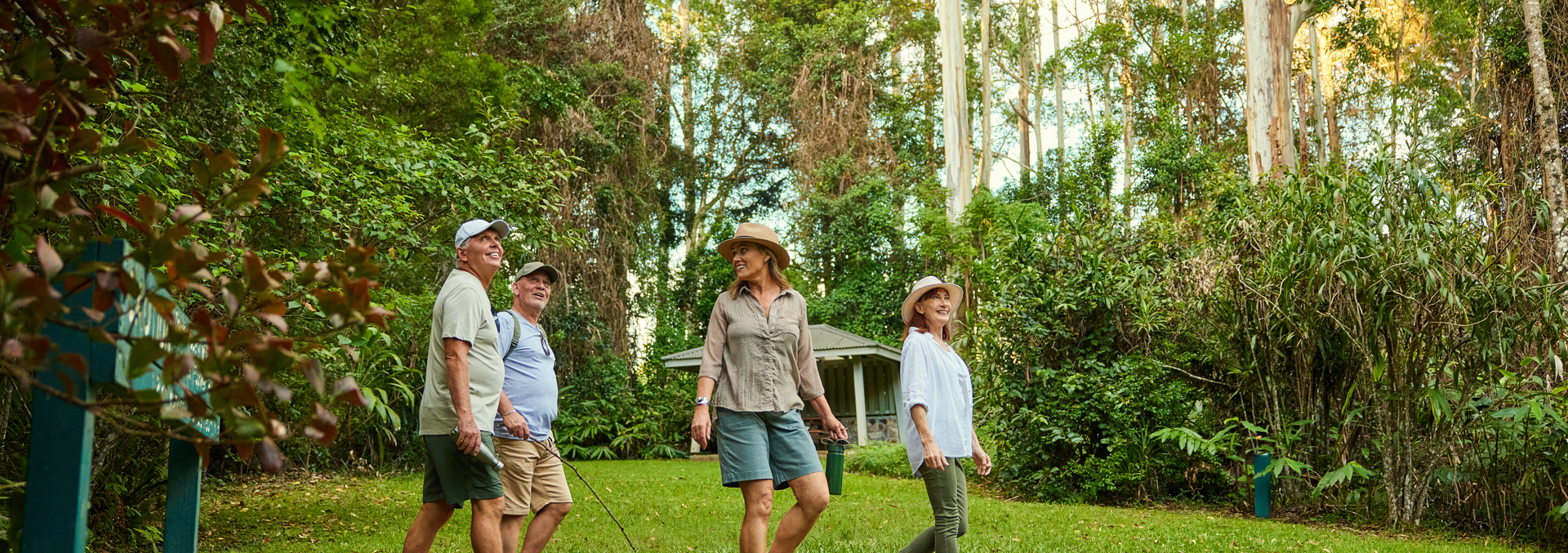 a group of four adults walk together through a green forest area