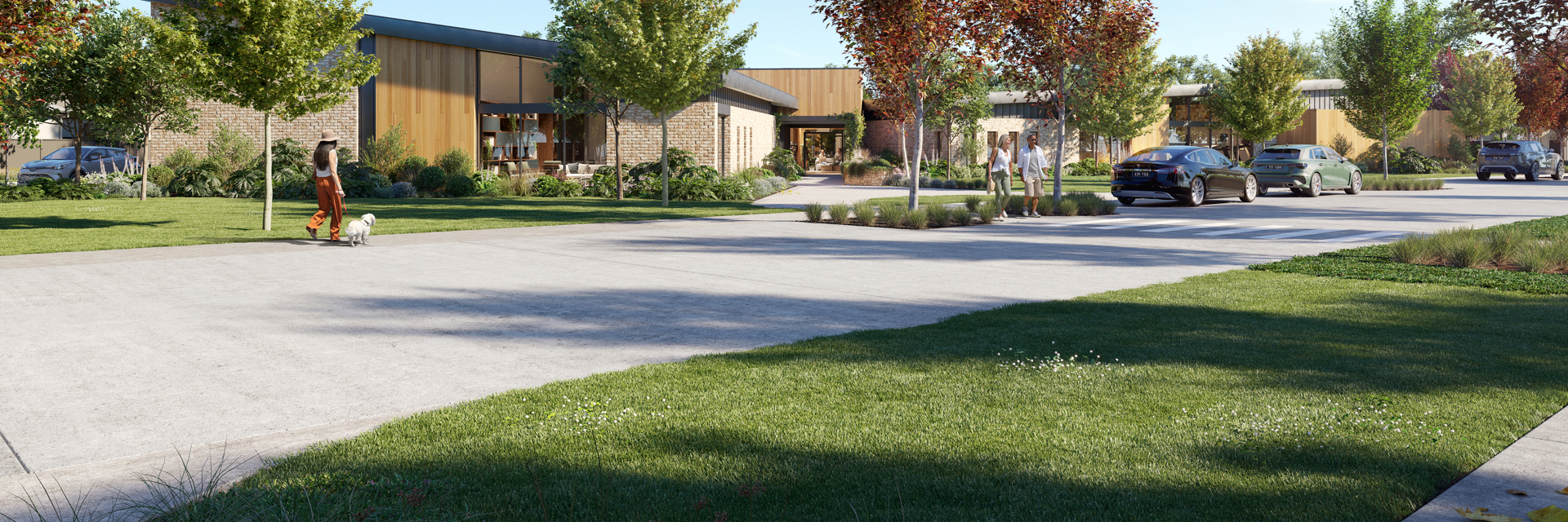 Render of Halcyon Highlands streetscape