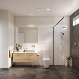 VH10 Bathroom render in Town colour