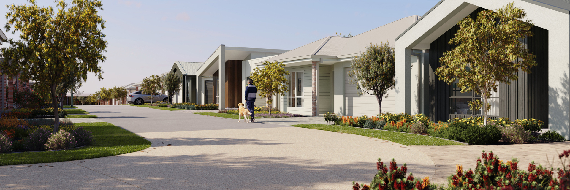 A render of a completed streetscape at Halcyon Wildflower