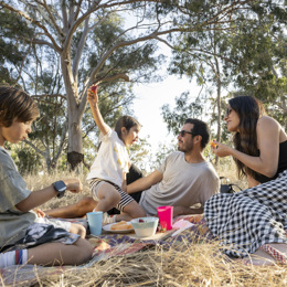 Family enjoying picnic amongst nature
