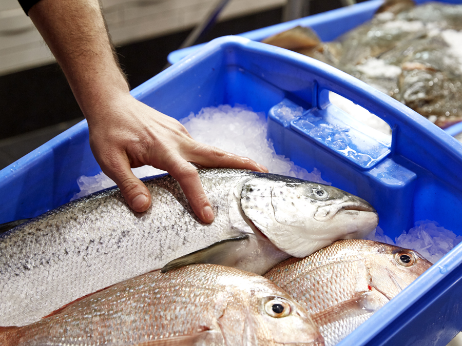 How_to_buy_Fish_Stockland_Jamies_Ministry_of_food