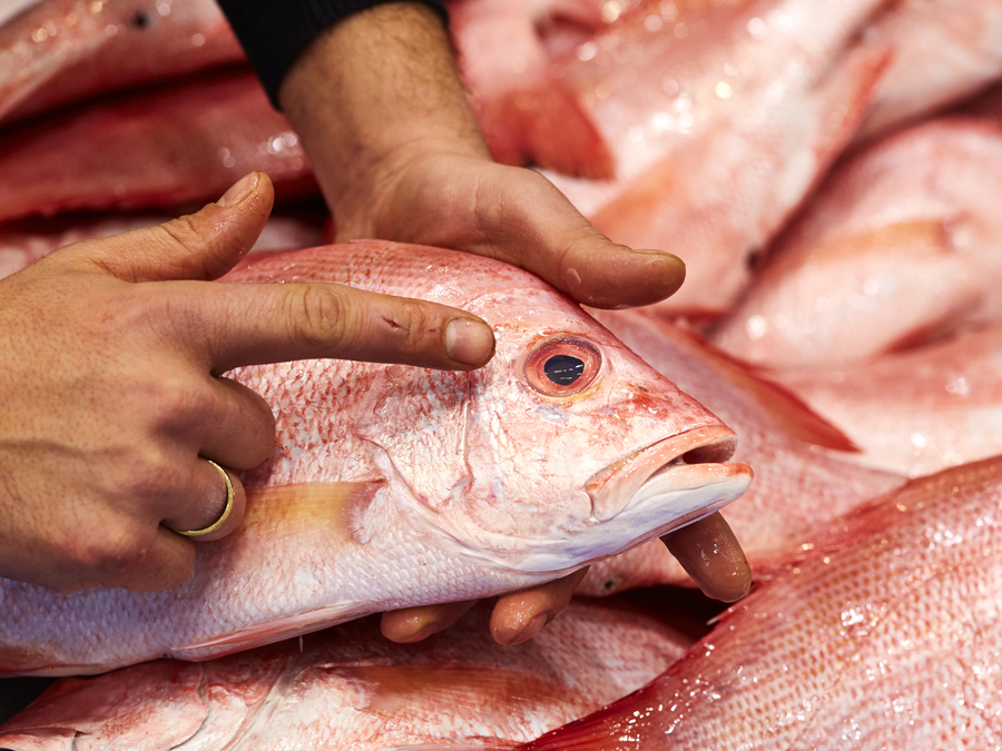 How_to_buy_Fish_Stockland_Jamies_Ministry_of_food