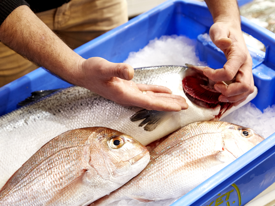 How_to_buy_Fish_Stockland_Jamies_Ministry_of_food