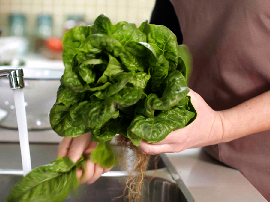How_to_prepare_Salad_Stockland_Jamies_Ministry_of_food