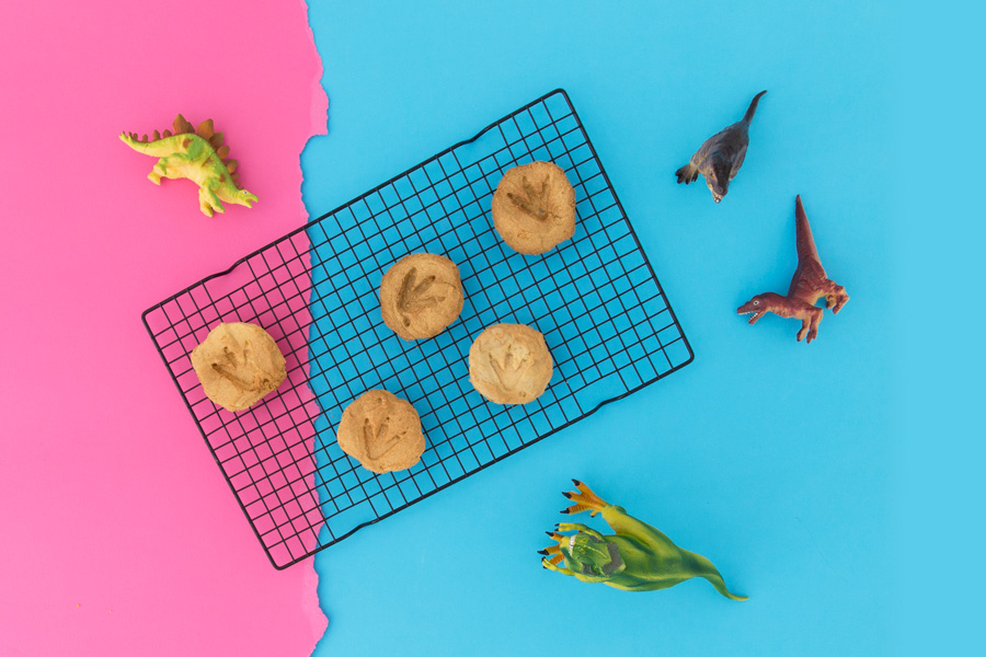 Dinosaur Cookies