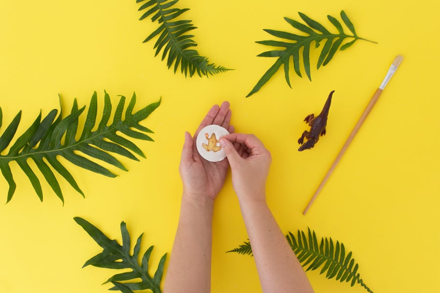Make your own Dinosaur Fossils