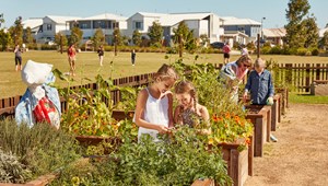 The community garden at Stockland's Bells Reach community on the Sunshine Coast (Qld)