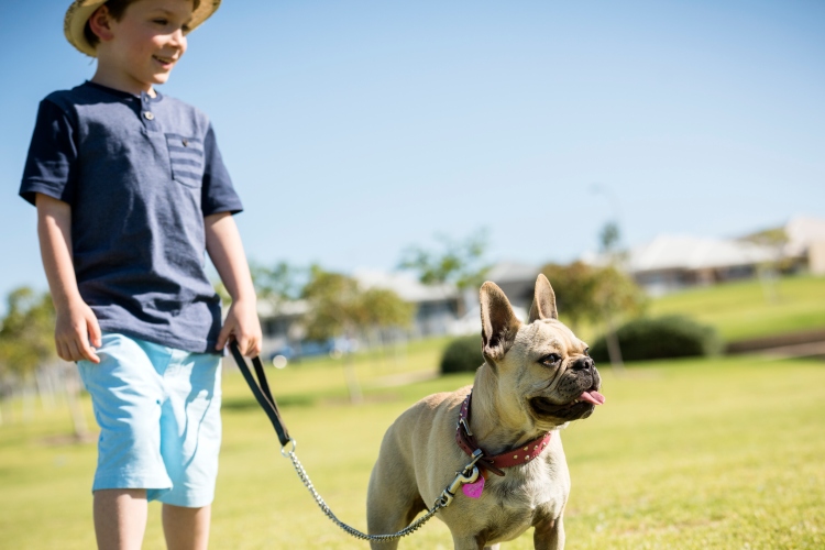 Tips to moving house with pets at Stockland