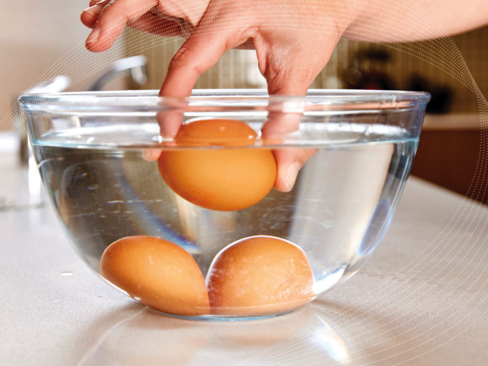 Floating test freshness by eggs for Testing Eggs
