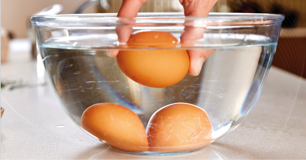 Мытые яйца можно хранить. Свежее яйцо. Переваренные яйца. Свежесть яйца фото. Яйцо свежее поступление.
