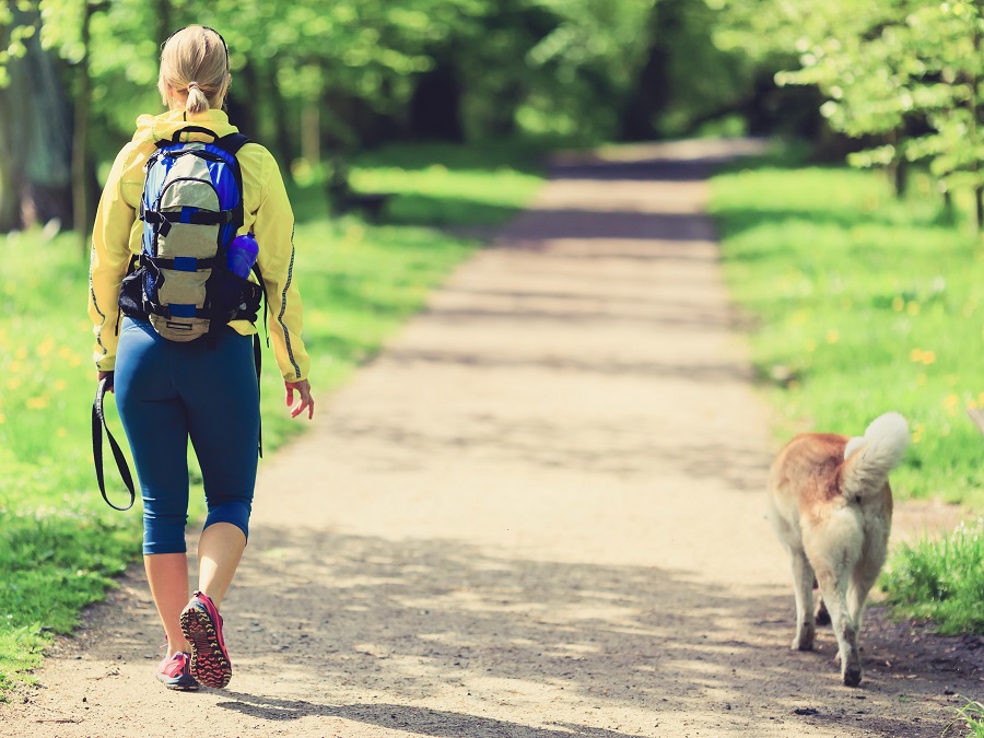 A person walking with their dog down a walking track