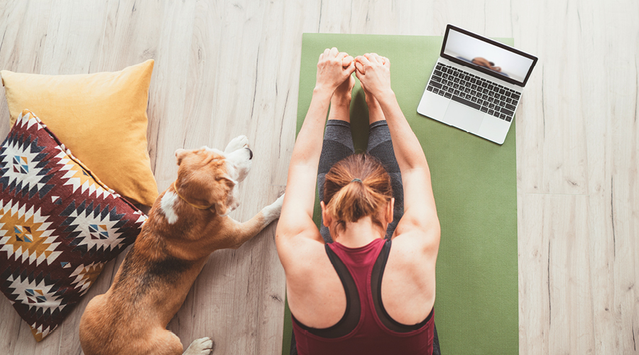 Women working out at home in front of a laptop with their dog sitting by their side.