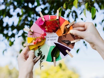 Get crafty: DIY nature colour wheel