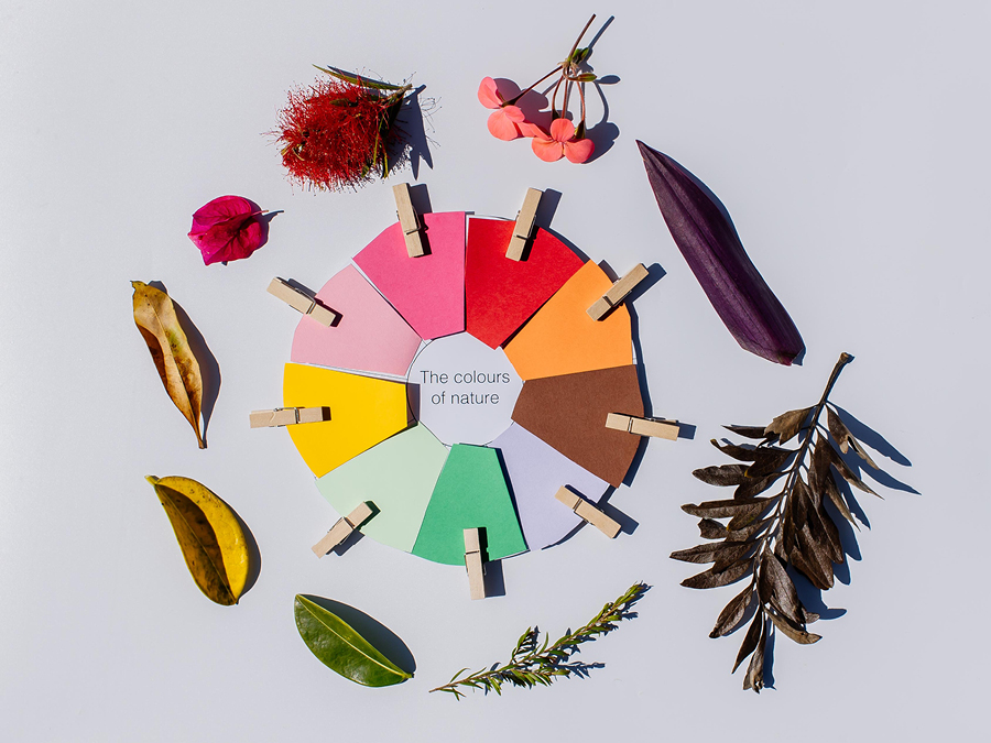 Nature colour wheel craft project
