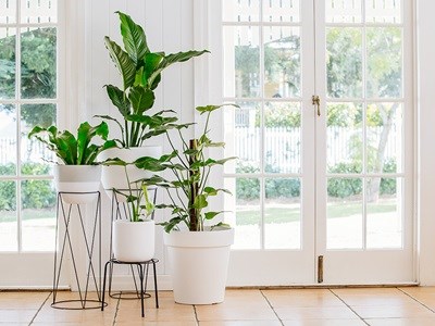 Easy DIY Indoor Garden Tips and...