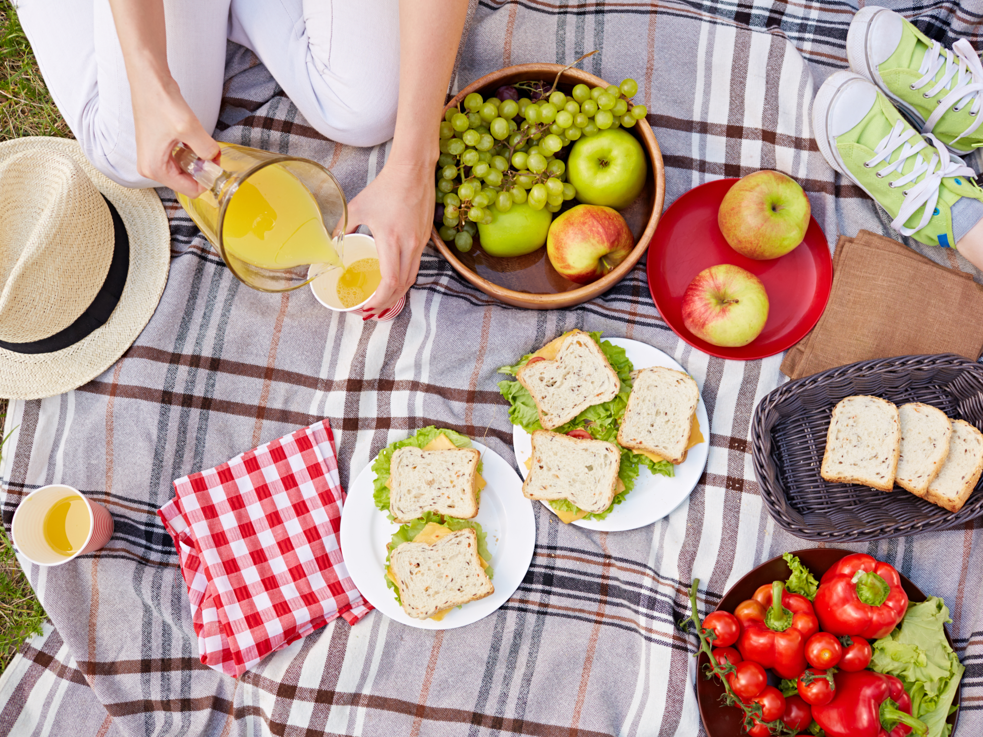 How to plan the perfect picnic guide