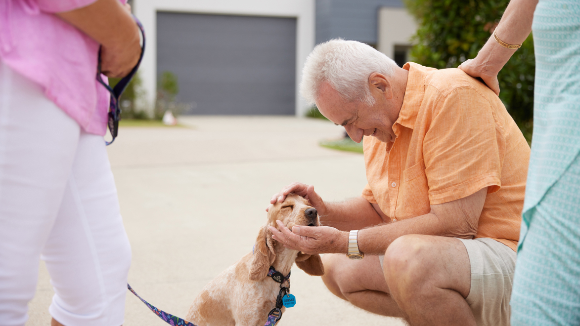 Man pats dog in the streets of a Stockland Halcyon community
