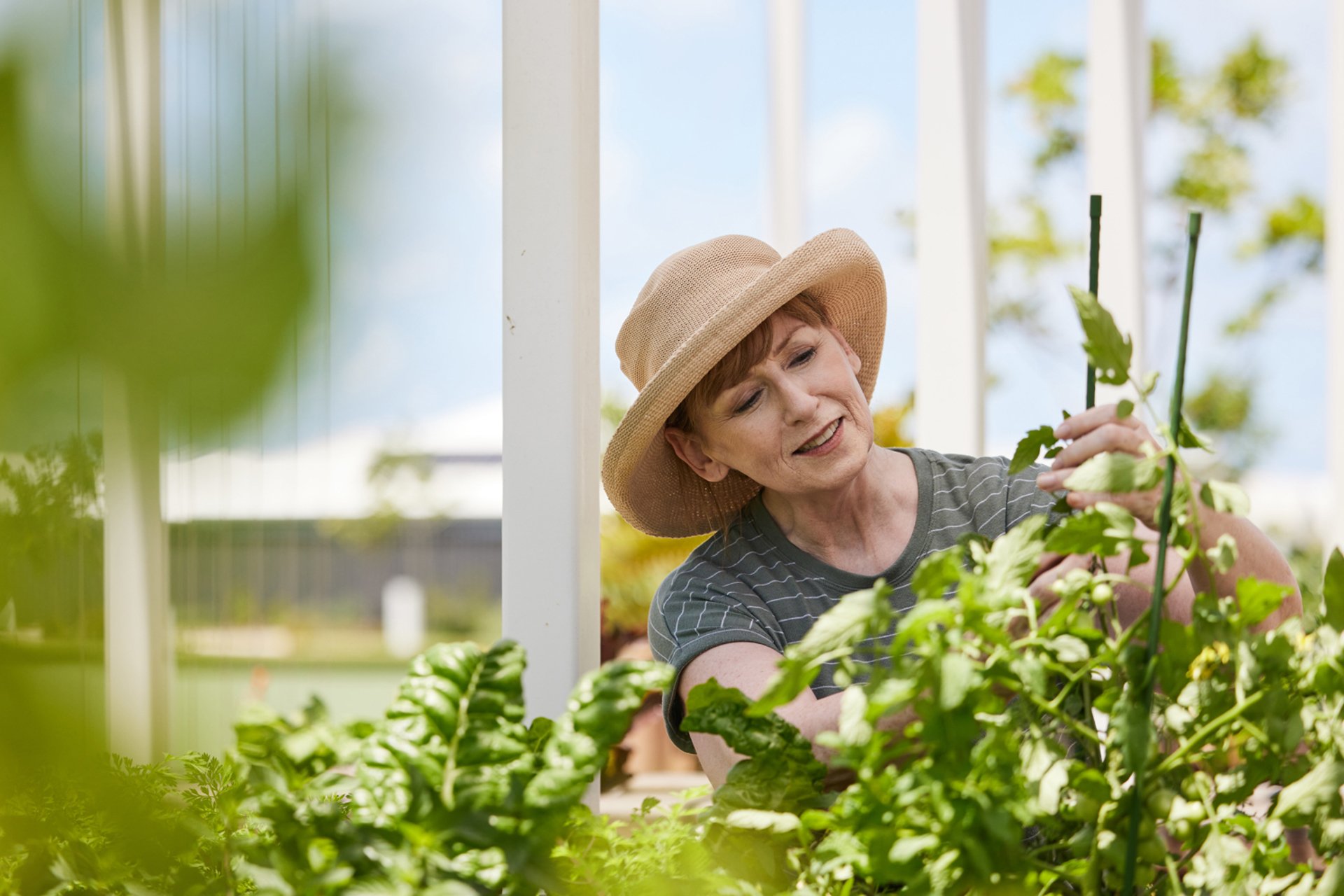 A lady enjoys some gardening in the Stockland Halcyon Nirimba community garden